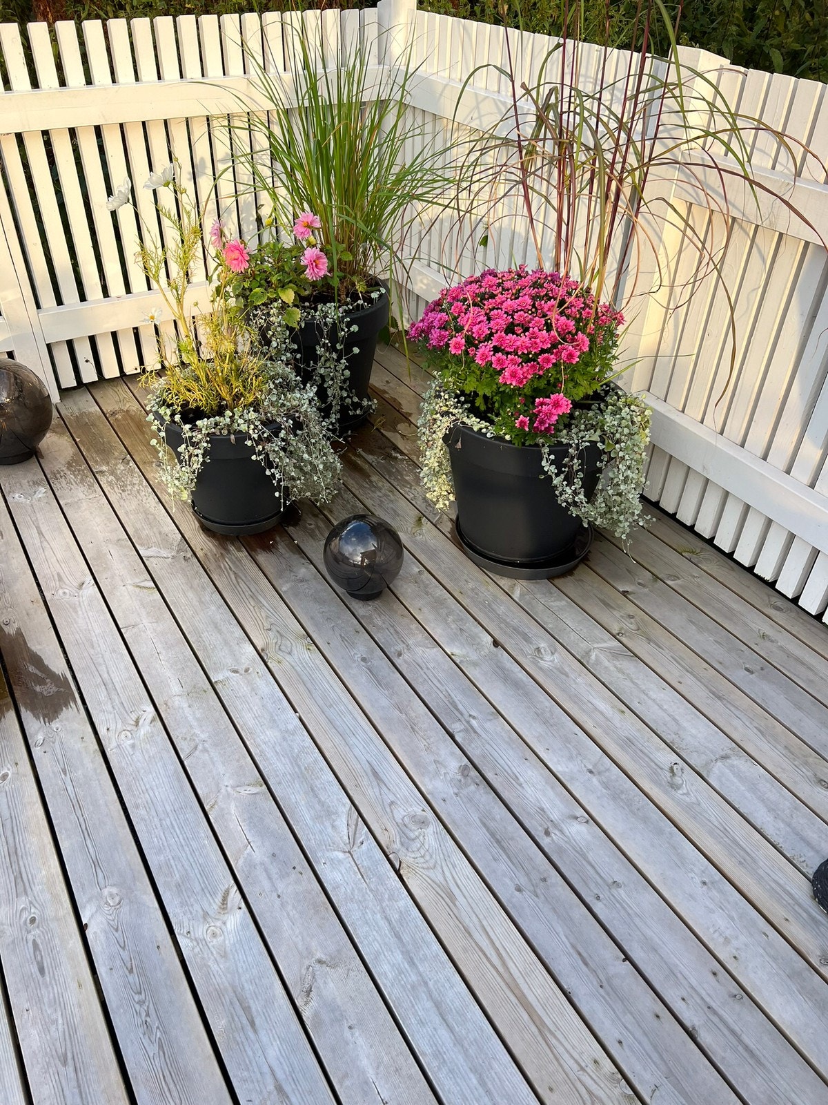 Ute område Galleribilde