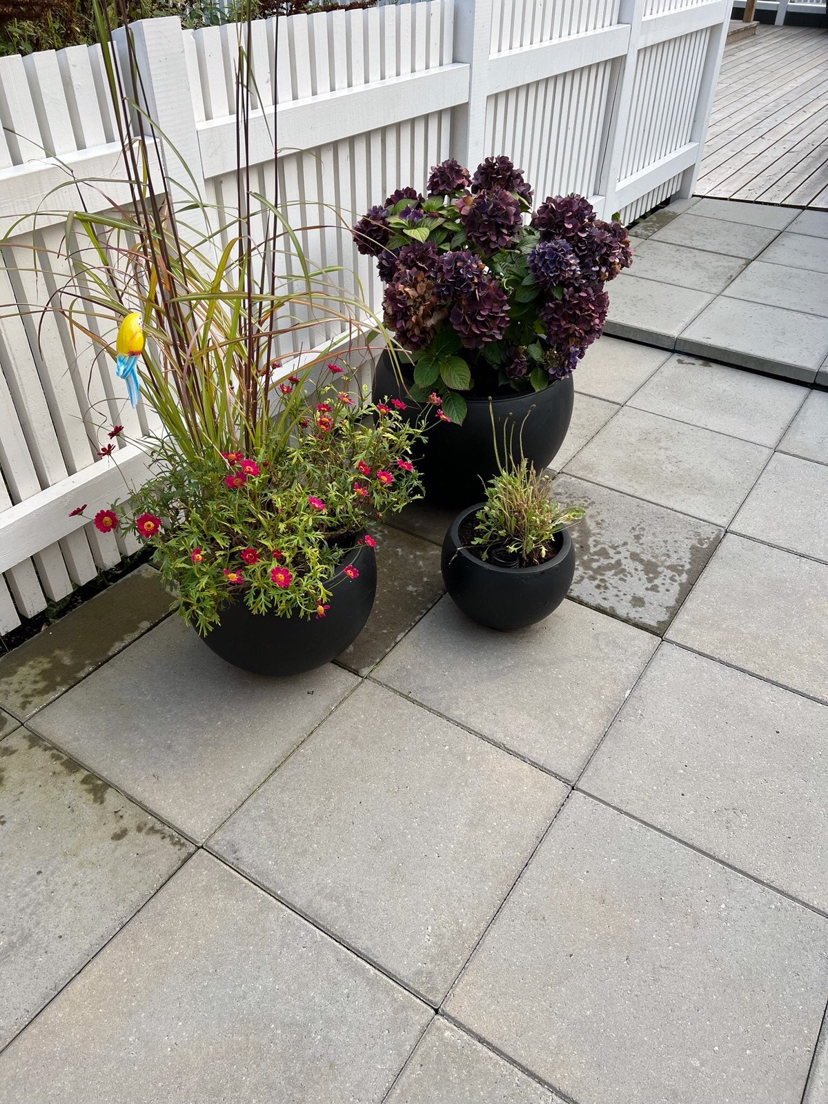 Ute område Galleribilde