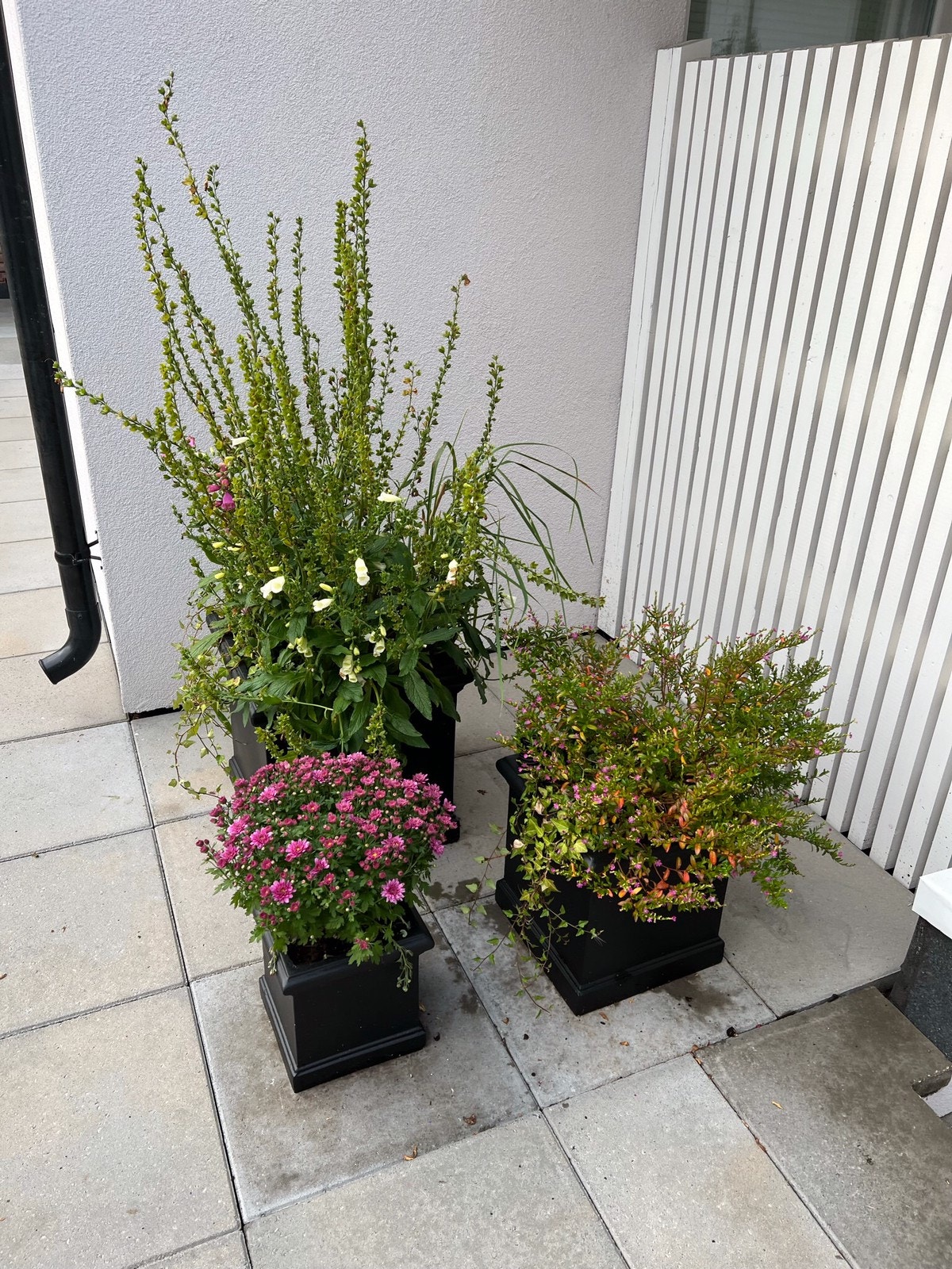 Ute område Galleribilde