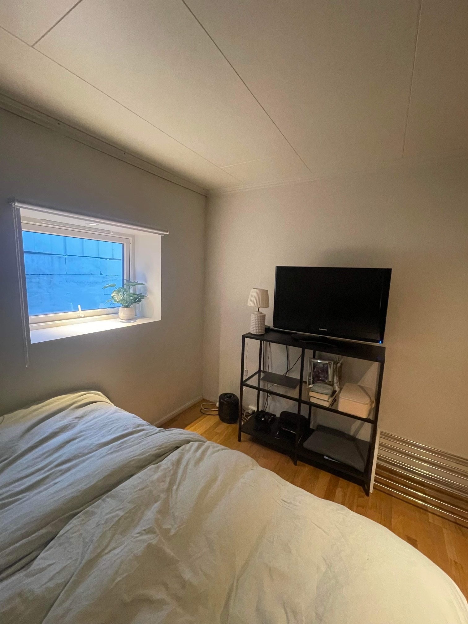 UTLEID. Rom 4 Galleribilde