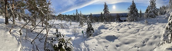 Utsikt tomt 120 Galleribilde