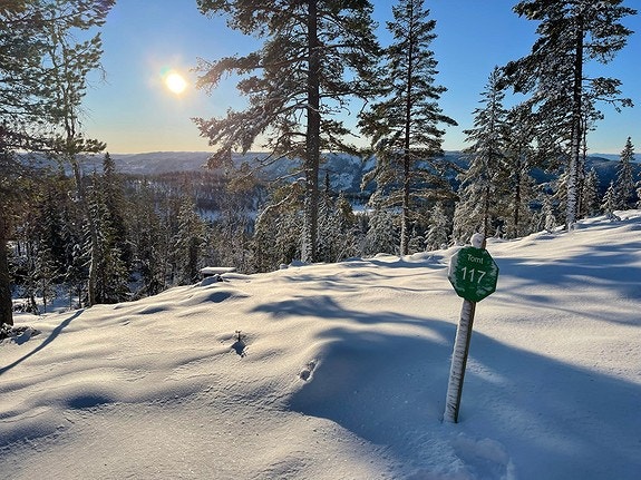 Utsikt fra tomt 117 Galleribilde