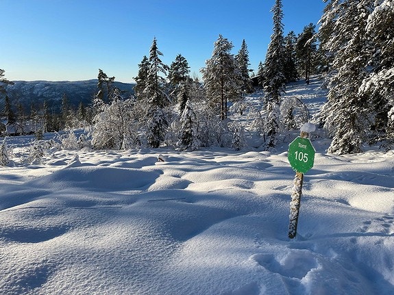 Utsikt tomt 105 Galleribilde