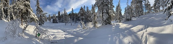 Utsikt fra tomt 122 Galleribilde