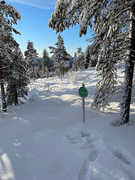 Utsikt fra tomt 121 Galleribilde