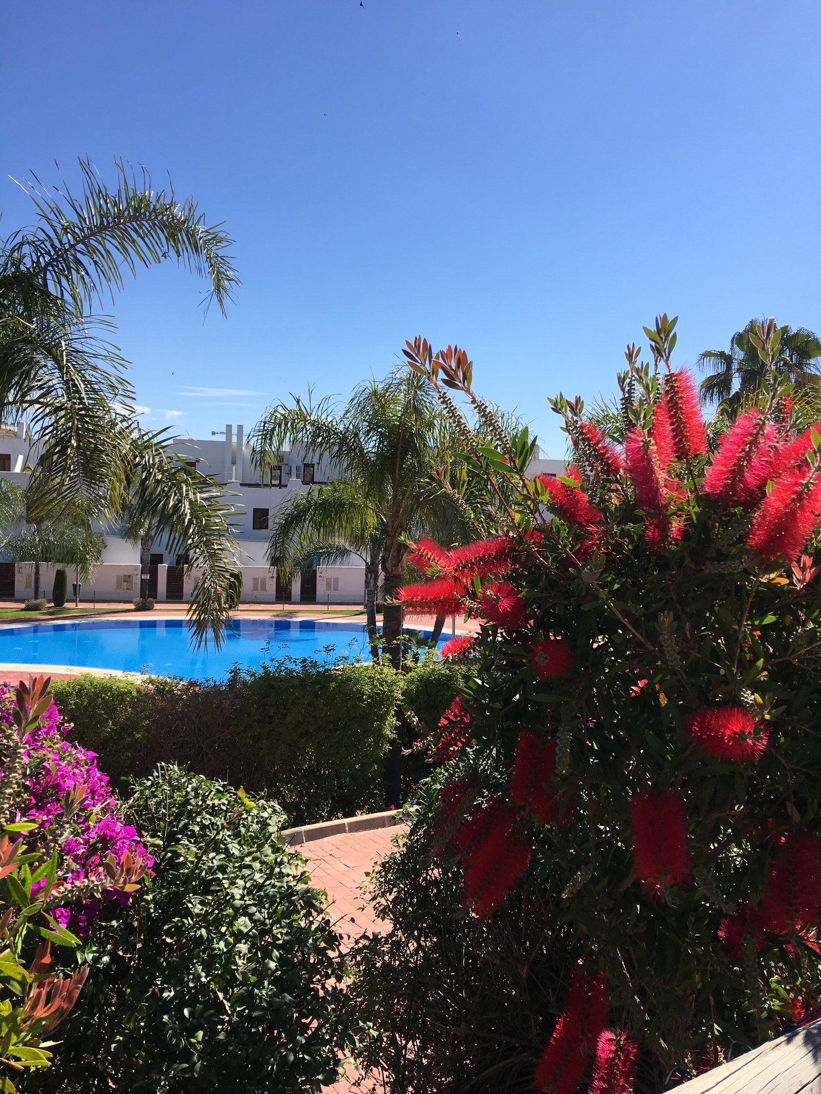 Bassengområdet Galleribilde