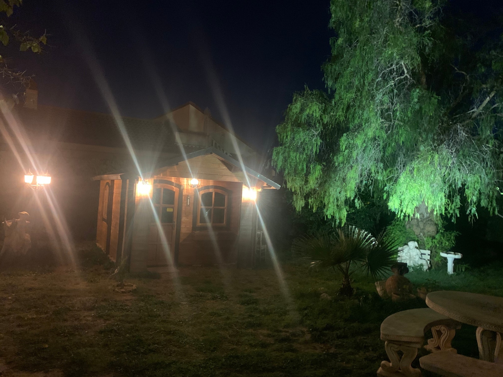 Kveldstemning Galleribilde