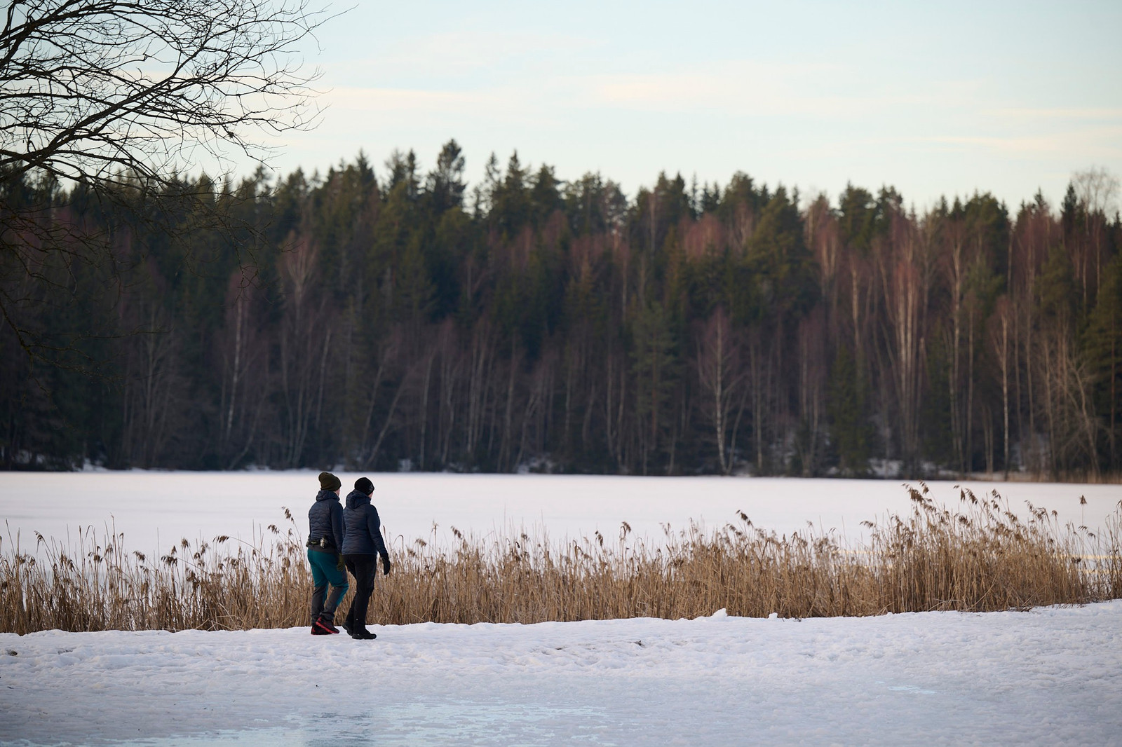 Nordbytjernet har fine turområder