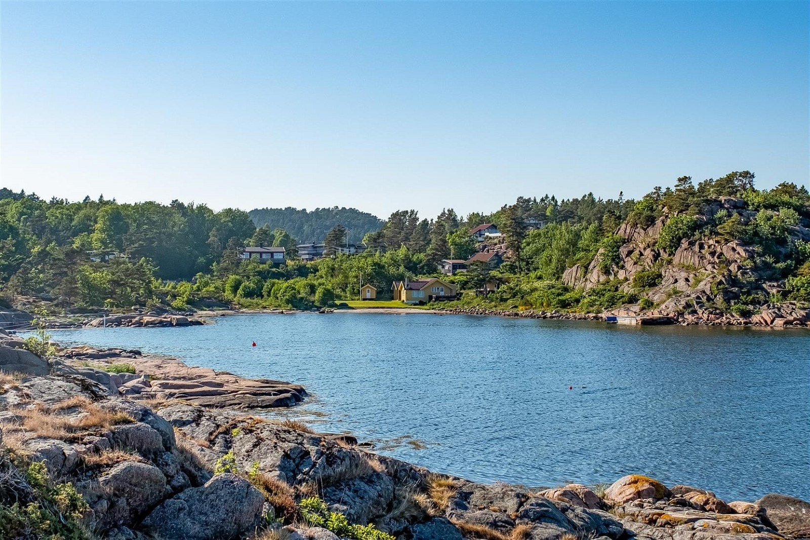 Nærområde Galleribilde