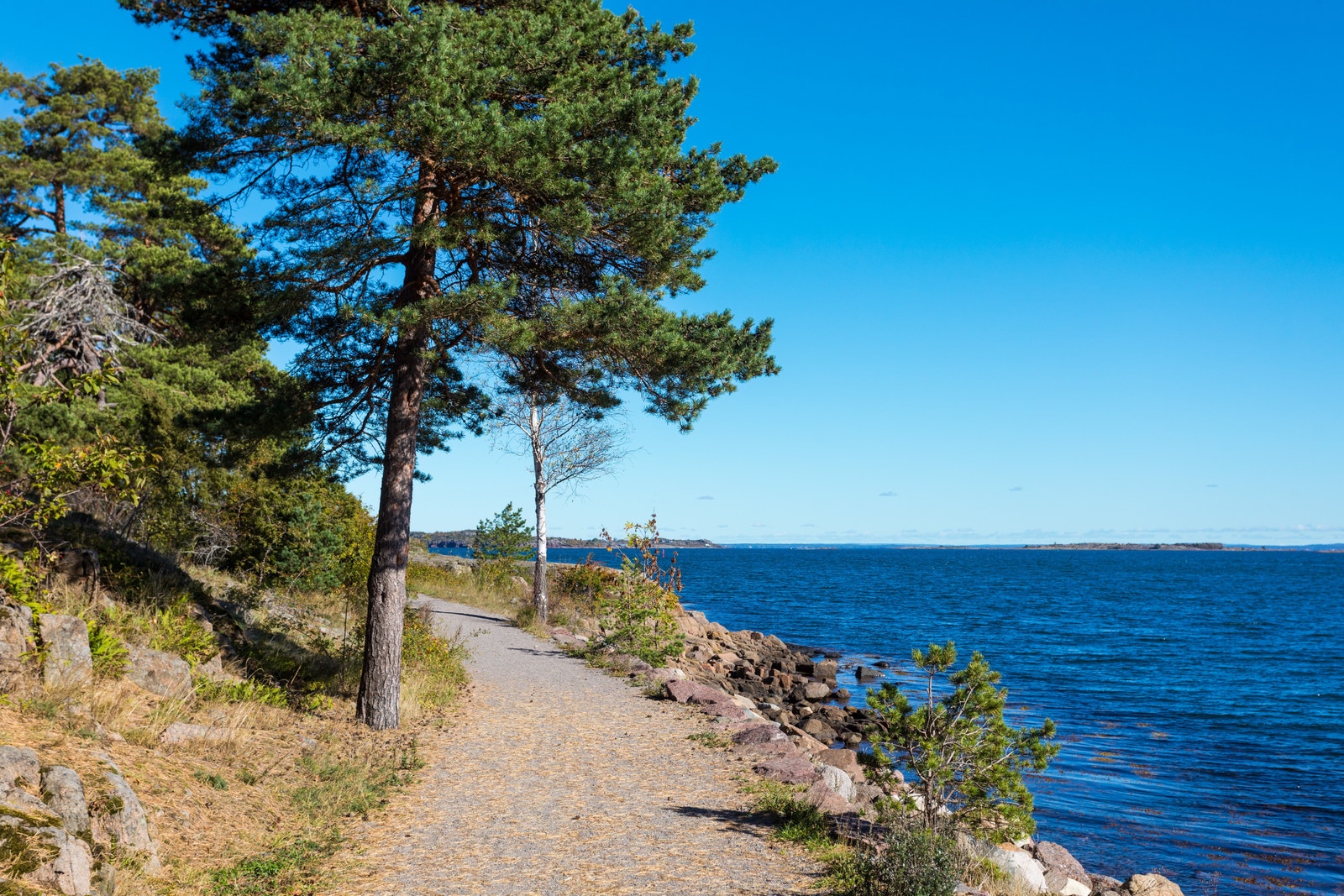 Fjærholmen. Foto Frank Hesjedal Galleribilde