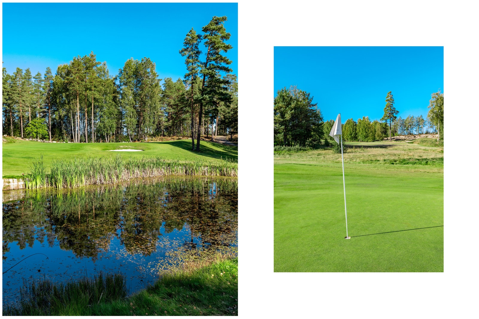 Nøtterøy golfbane. Foto Frank Hesjedal Galleribilde