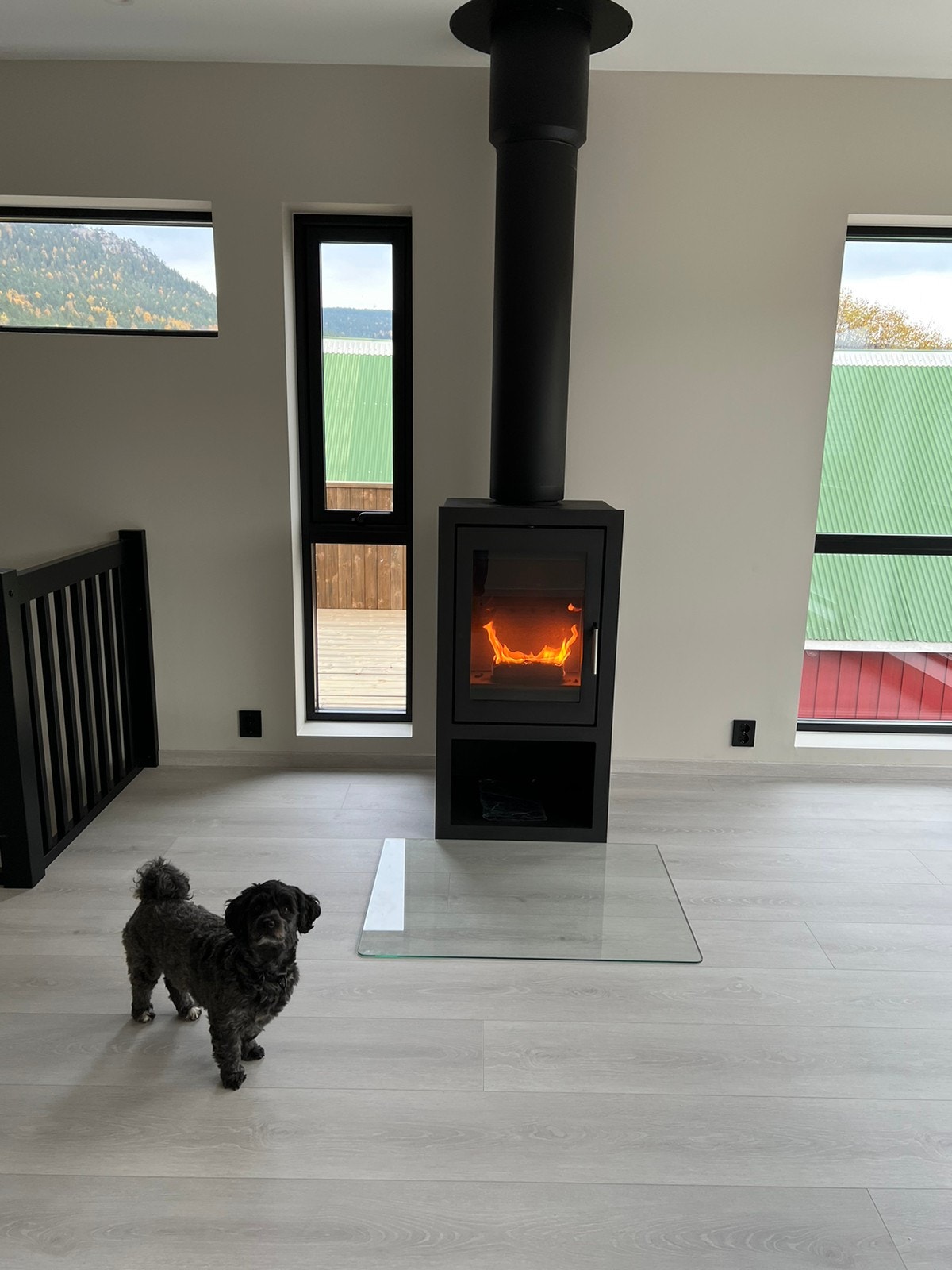 Peis 25B - Lik i 25A Galleribilde