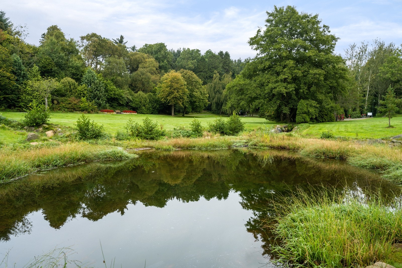 Område Galleribilde