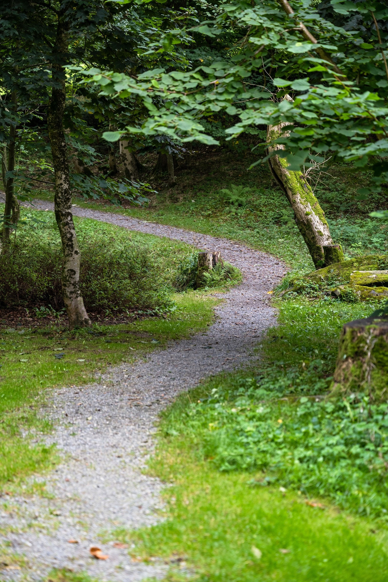 Område Galleribilde