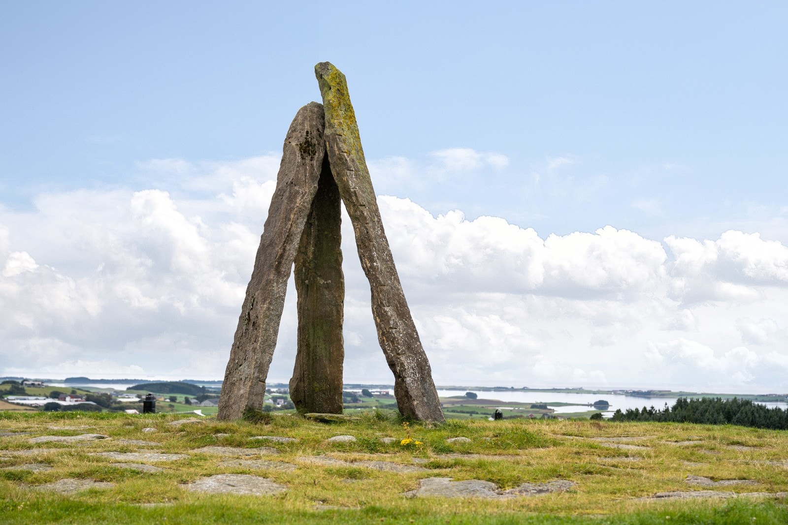 Område Galleribilde