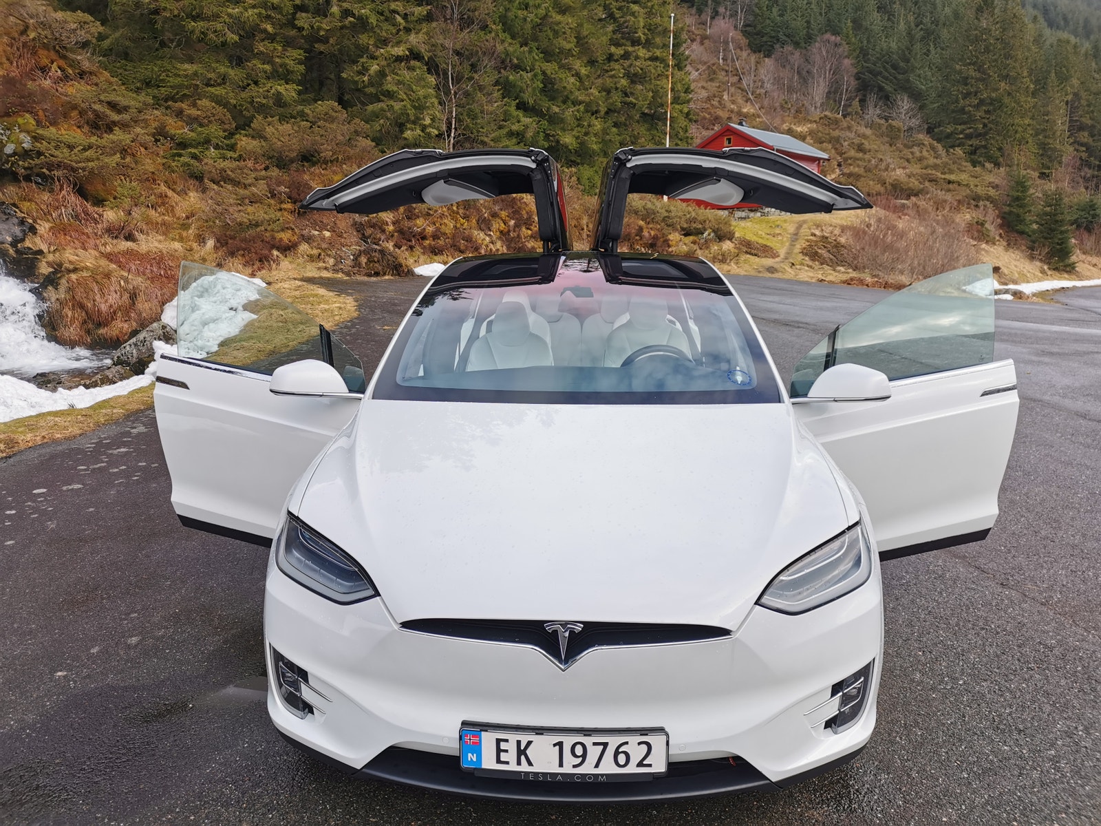 Tesla Model X 19