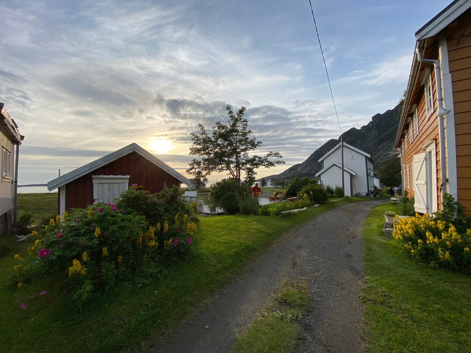 Fugløya er verdt et besøk Galleribilde