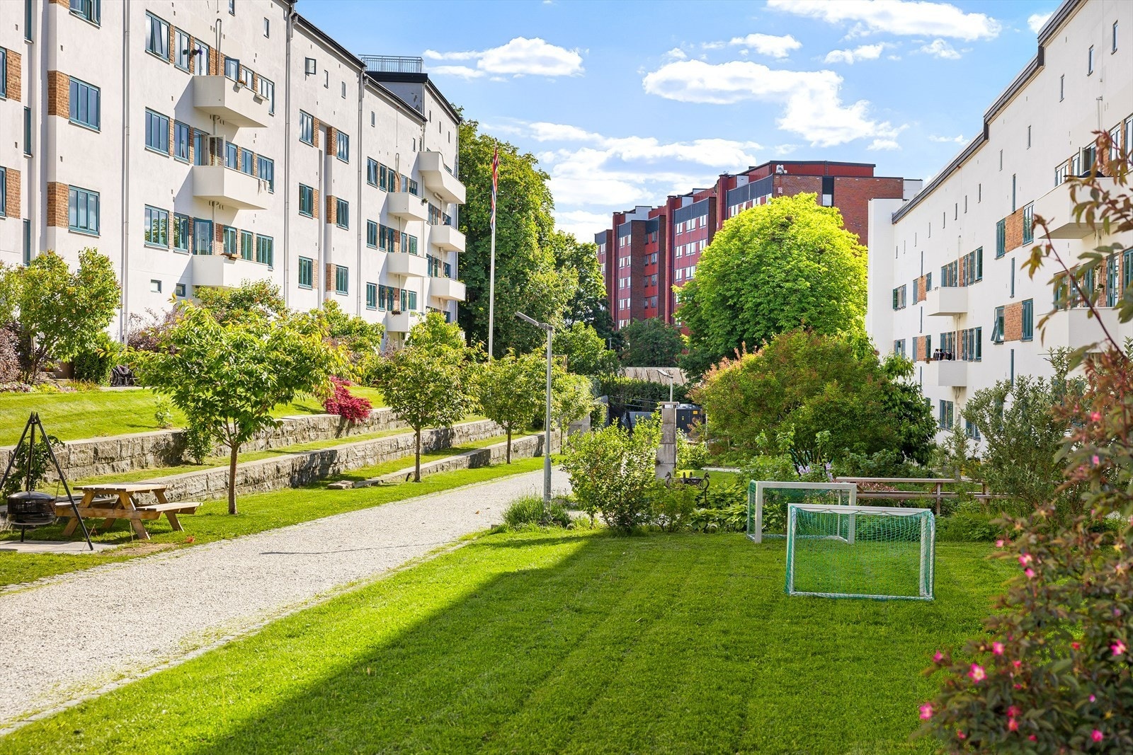 Grønn og fin bakgård. Galleribilde