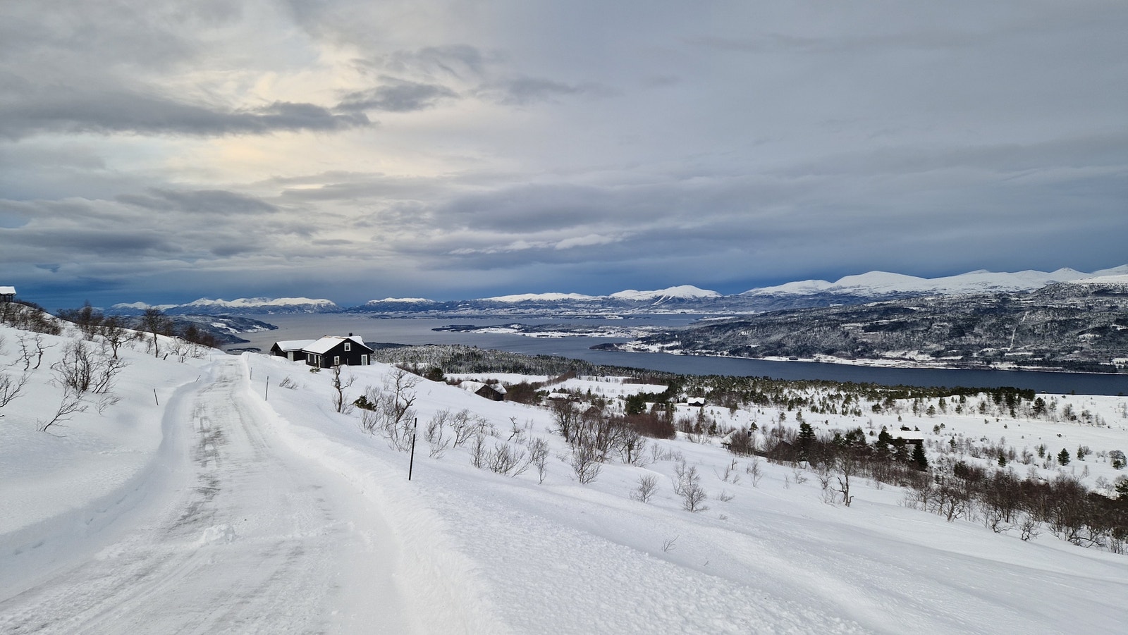 Utsiktsbilde fra toppen av feltet. Galleribilde