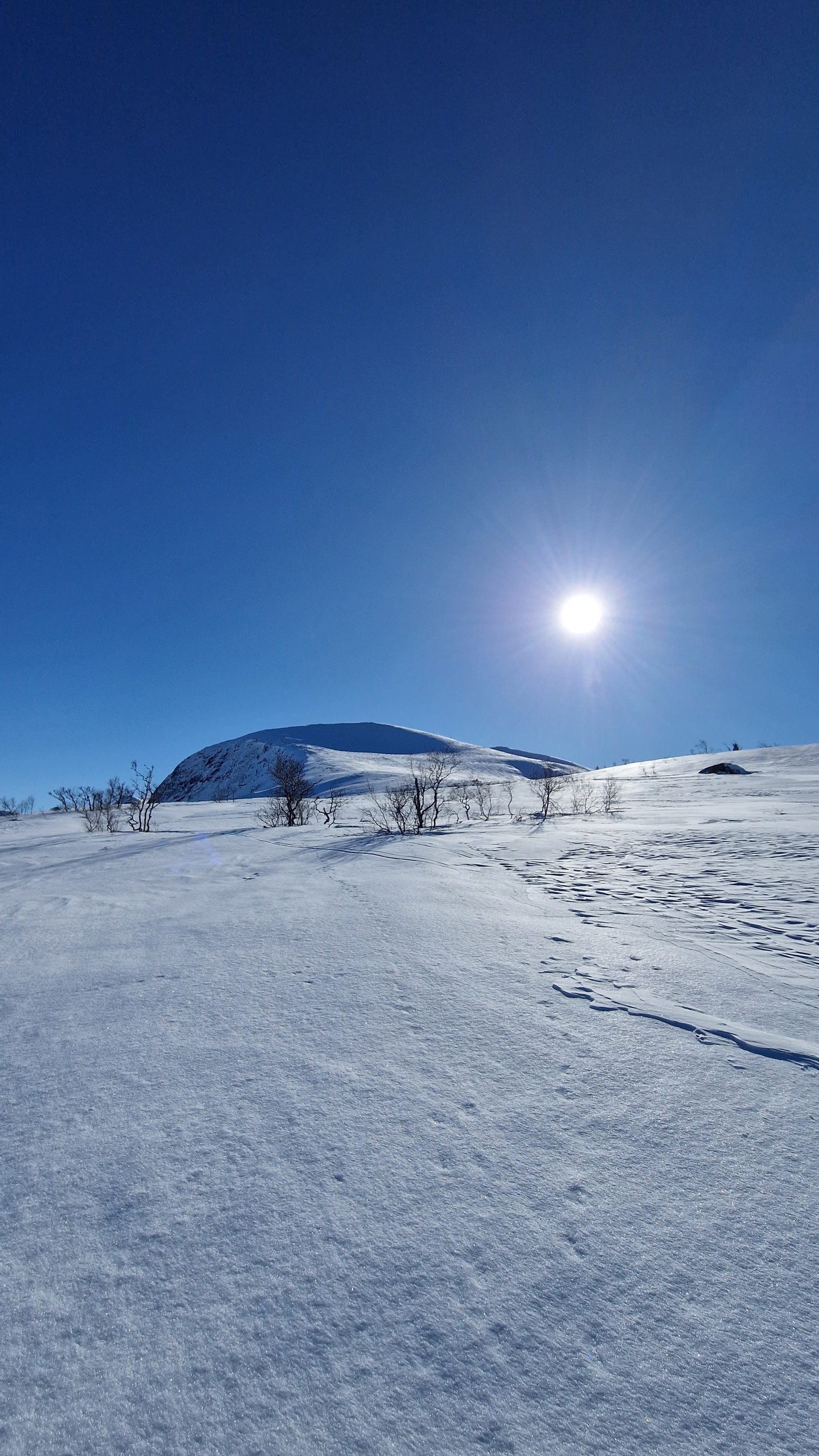 Torvløysa, ligger rett bak hyttefeltet, som bader i sol og bare venter på å bli besteget. Galleribilde