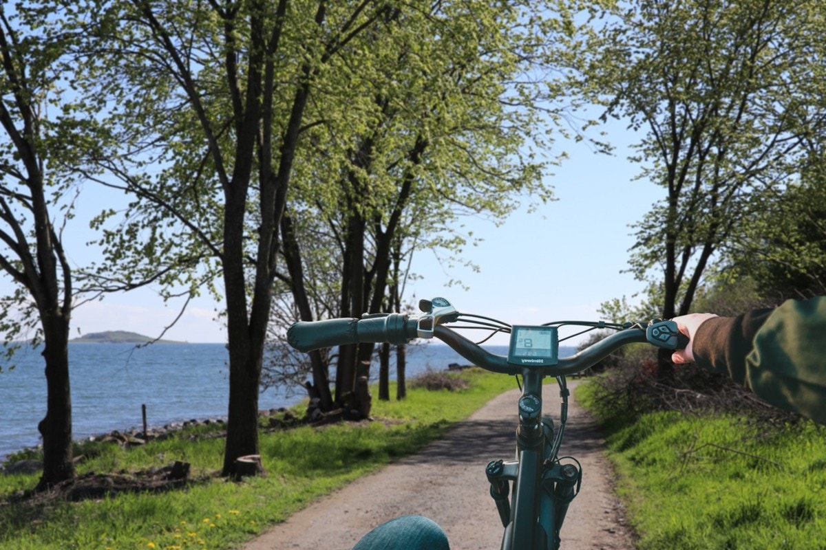 Fine sykkeforhold på Jeløya. Galleribilde