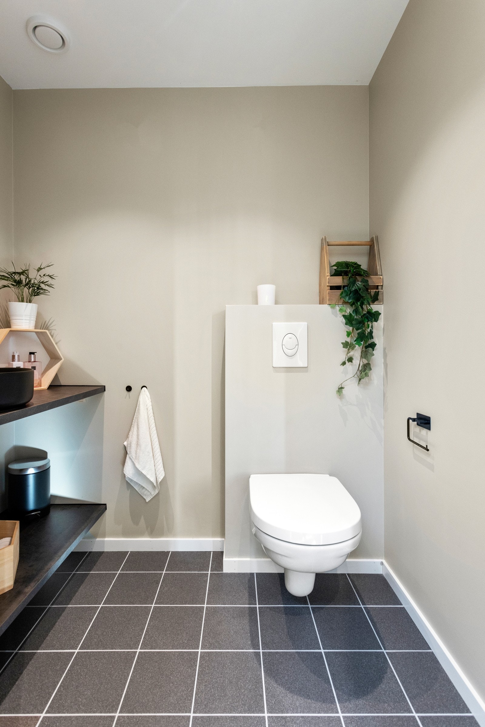 Eksempel på toalett fra tidligere hus Galleribilde