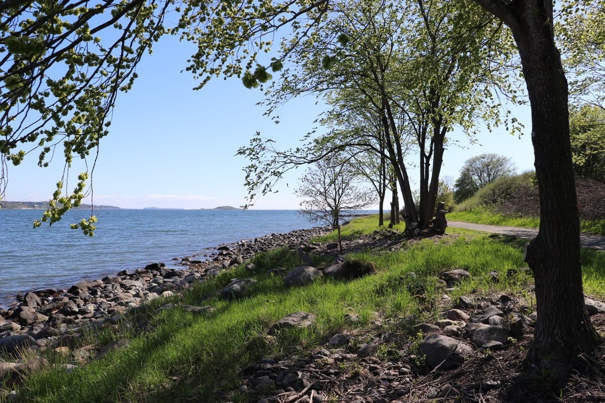 Flotte turområde i området Galleribilde