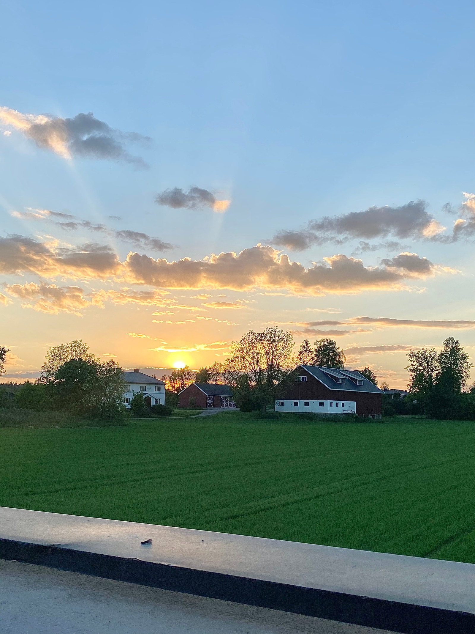 Solnedgang fra takterrasse Galleribilde