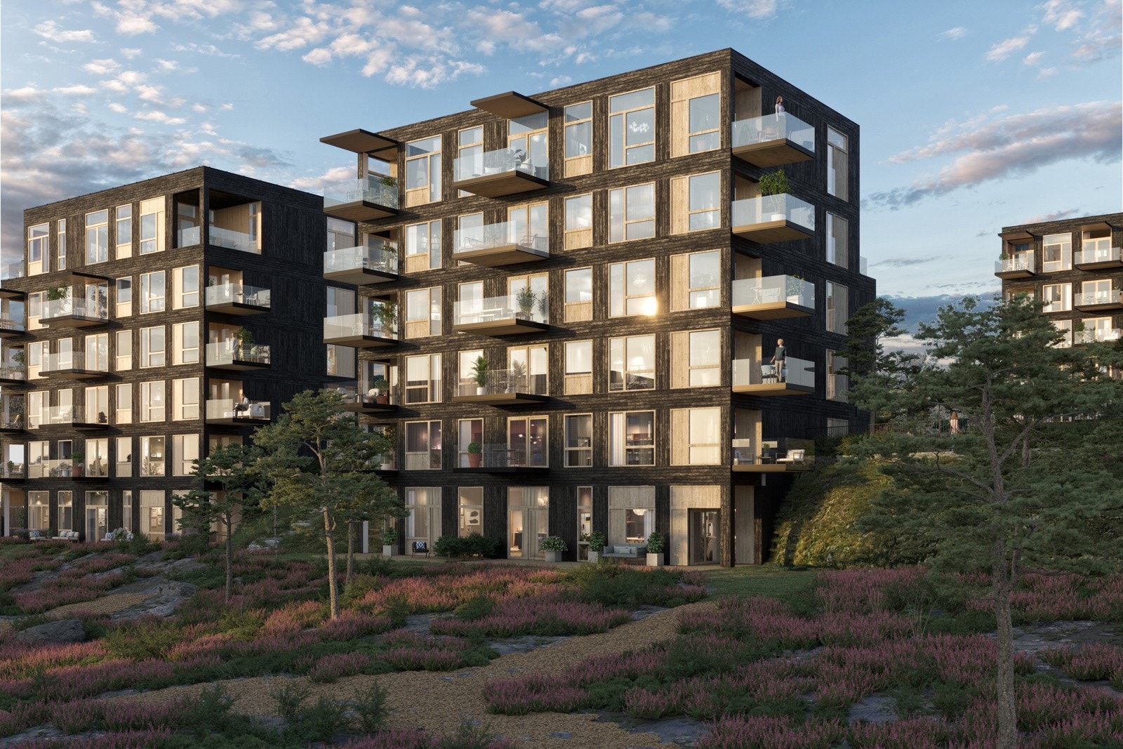 Nærhet til skog og mark (illustrasjonsfoto) Galleribilde