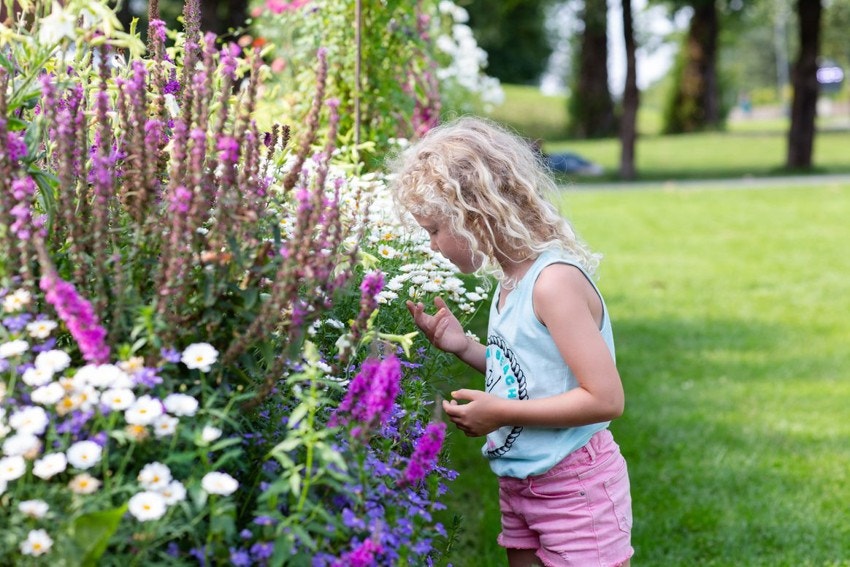 Områdebilde Ås. Galleribilde