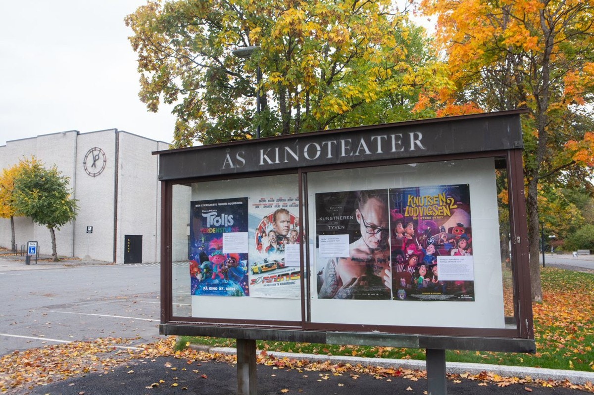 Områdebilde Ås. Galleribilde