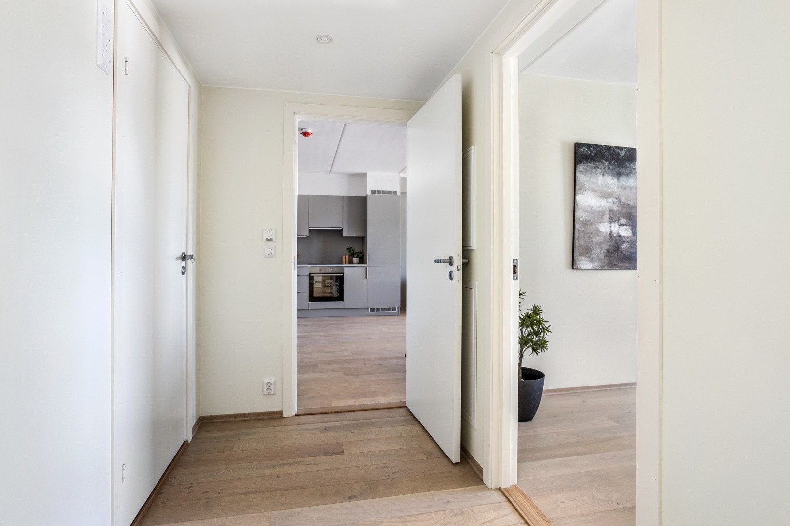 BJ3A7631 Galleribilde