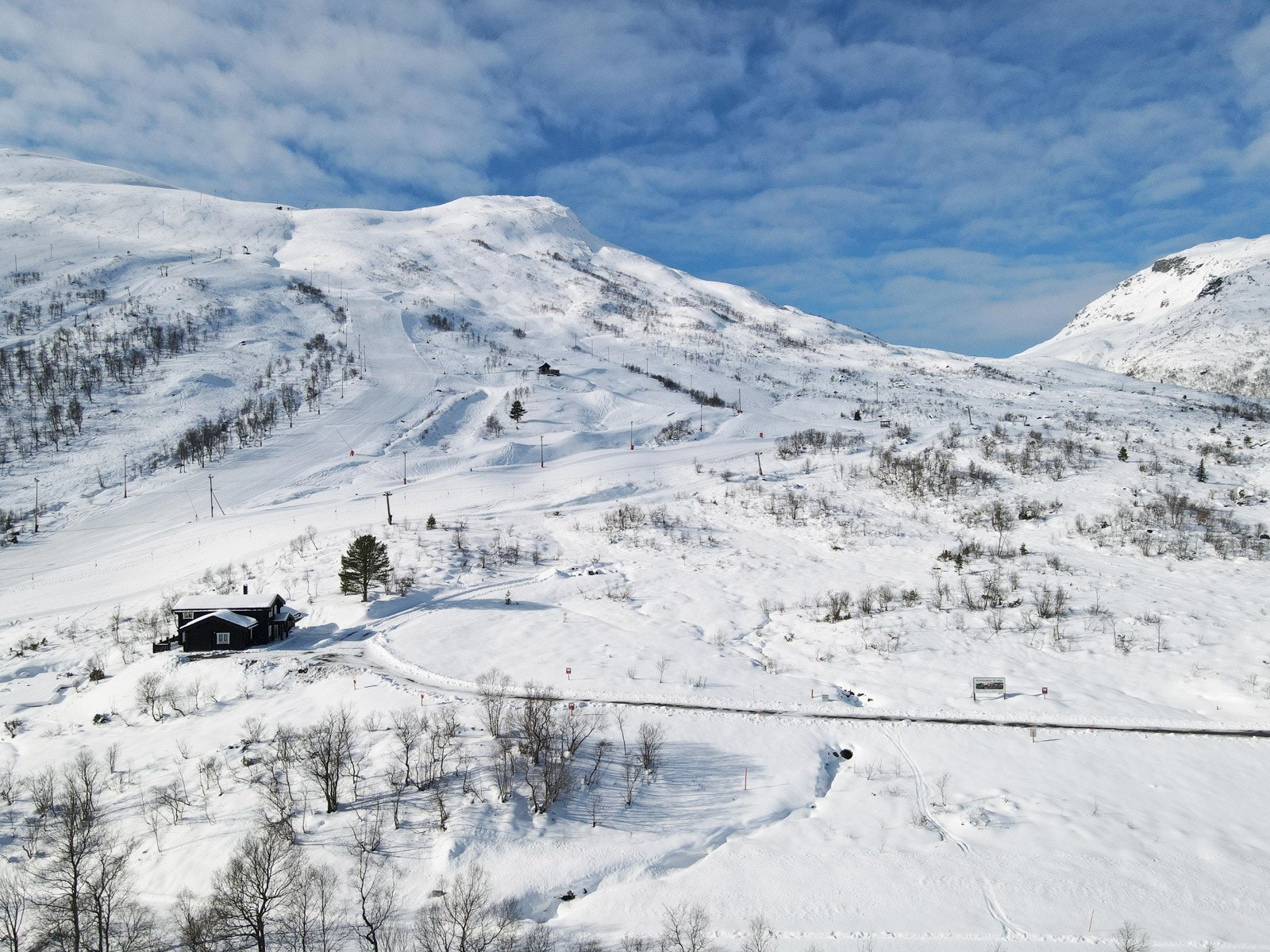 Feltet sett nedenfra Galleribilde