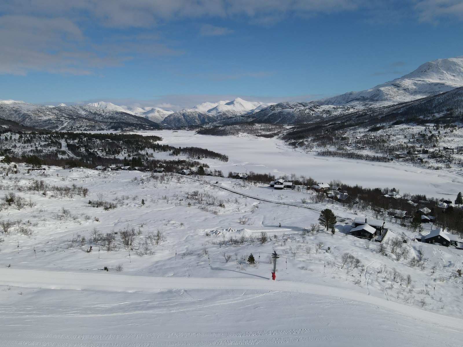 Feltet sett bakfra Galleribilde