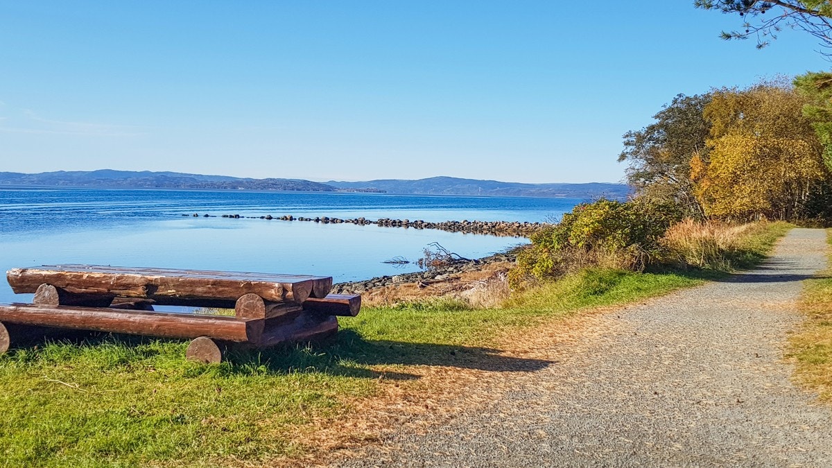 Elvepromenaden strekker seg fra Trones til Verdalsøra - flotte turmuligheter. Galleribilde