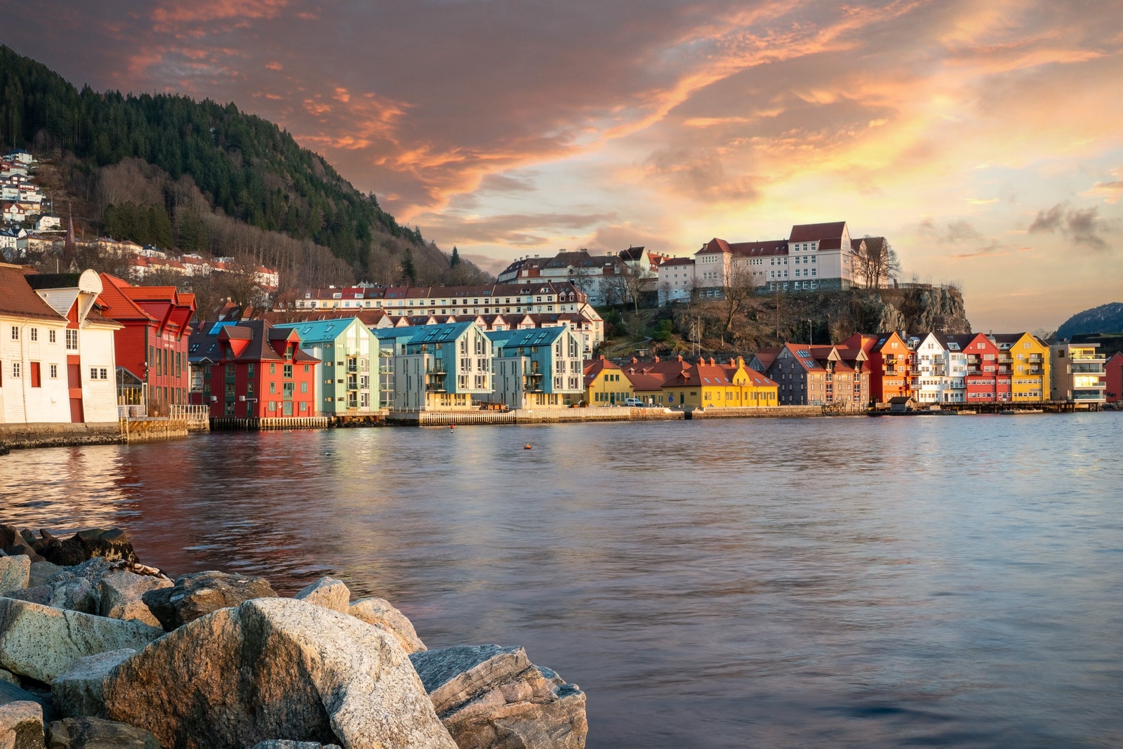 Beliggenhet Galleribilde