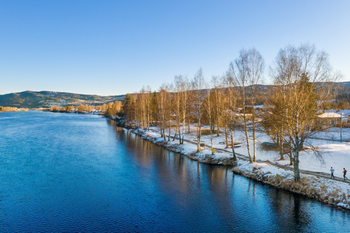 Flotte turområder langs elven Galleribilde