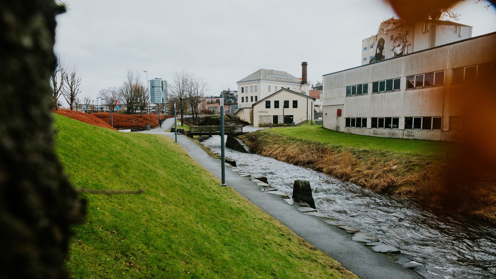 I kort avstand fra Reehagen finnes barnehage, barneskole, ungdomsskole og videregående skole. Galleribilde