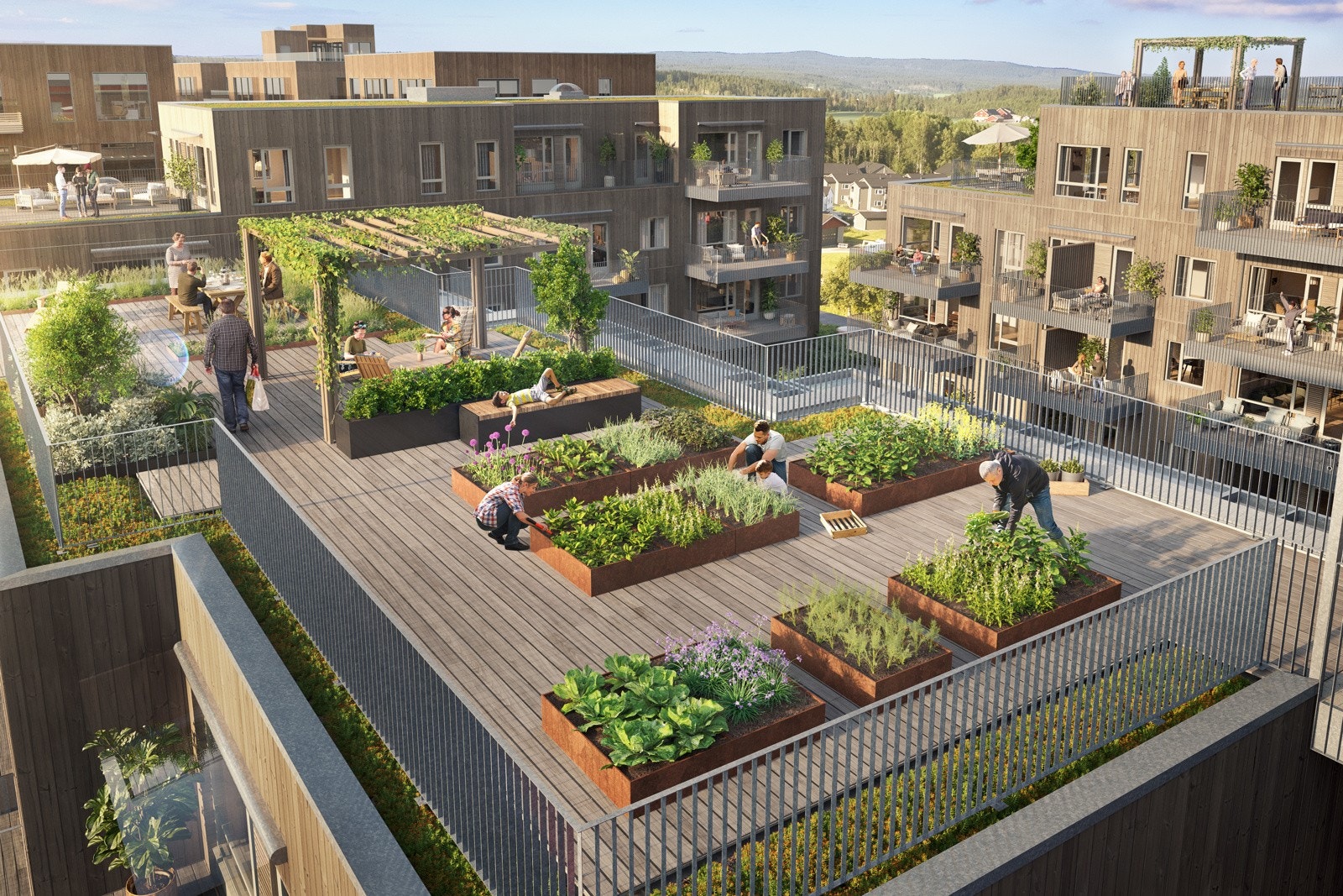 Det blir to felles takterrasser som alle beboerne kan benytte Galleribilde