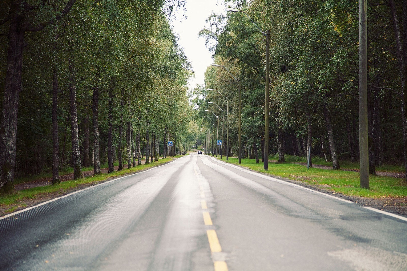 Veien til Ronatunet går gjennom vakre Furulunden Galleribilde