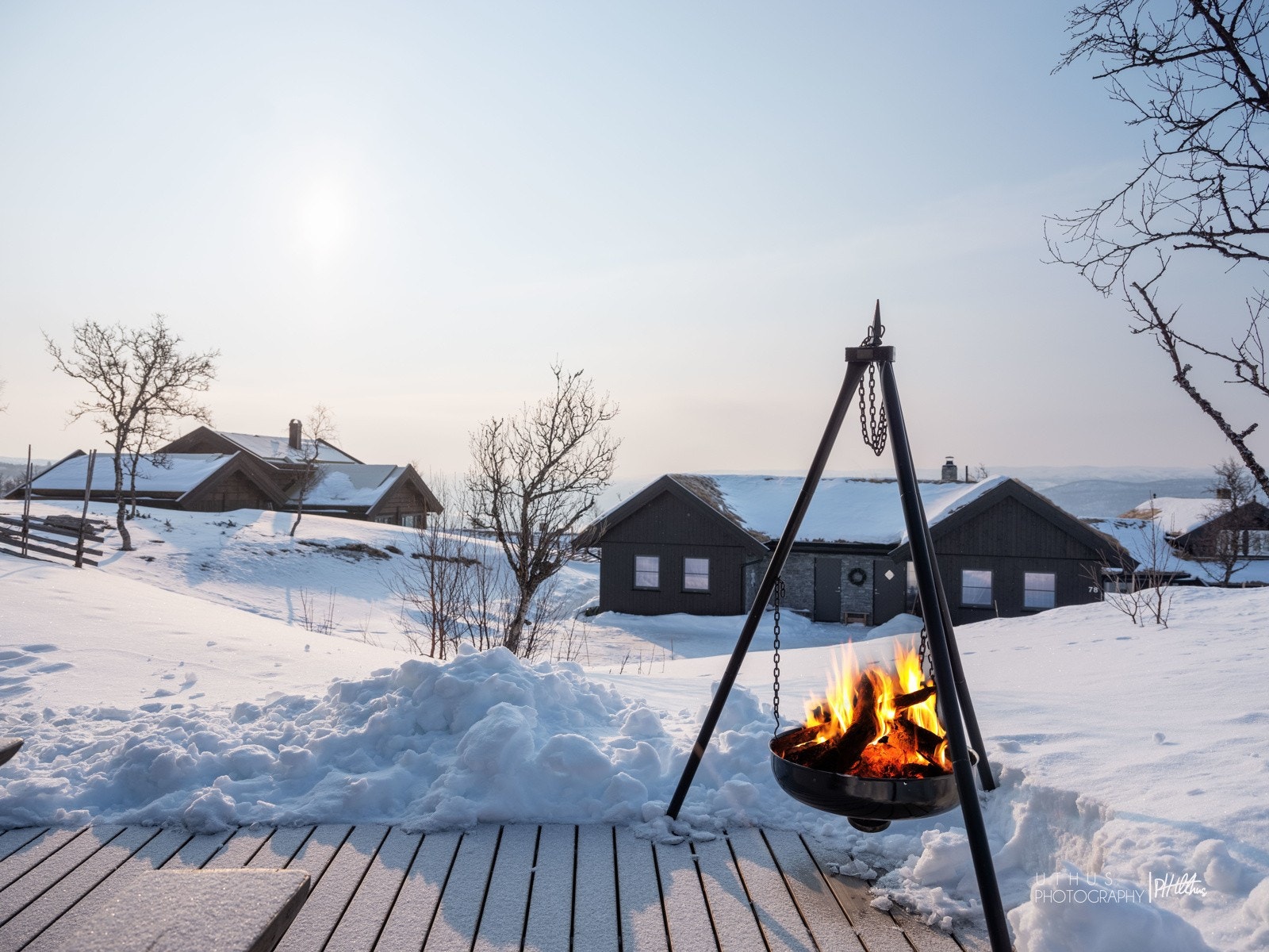 Bålpannekos Galleribilde