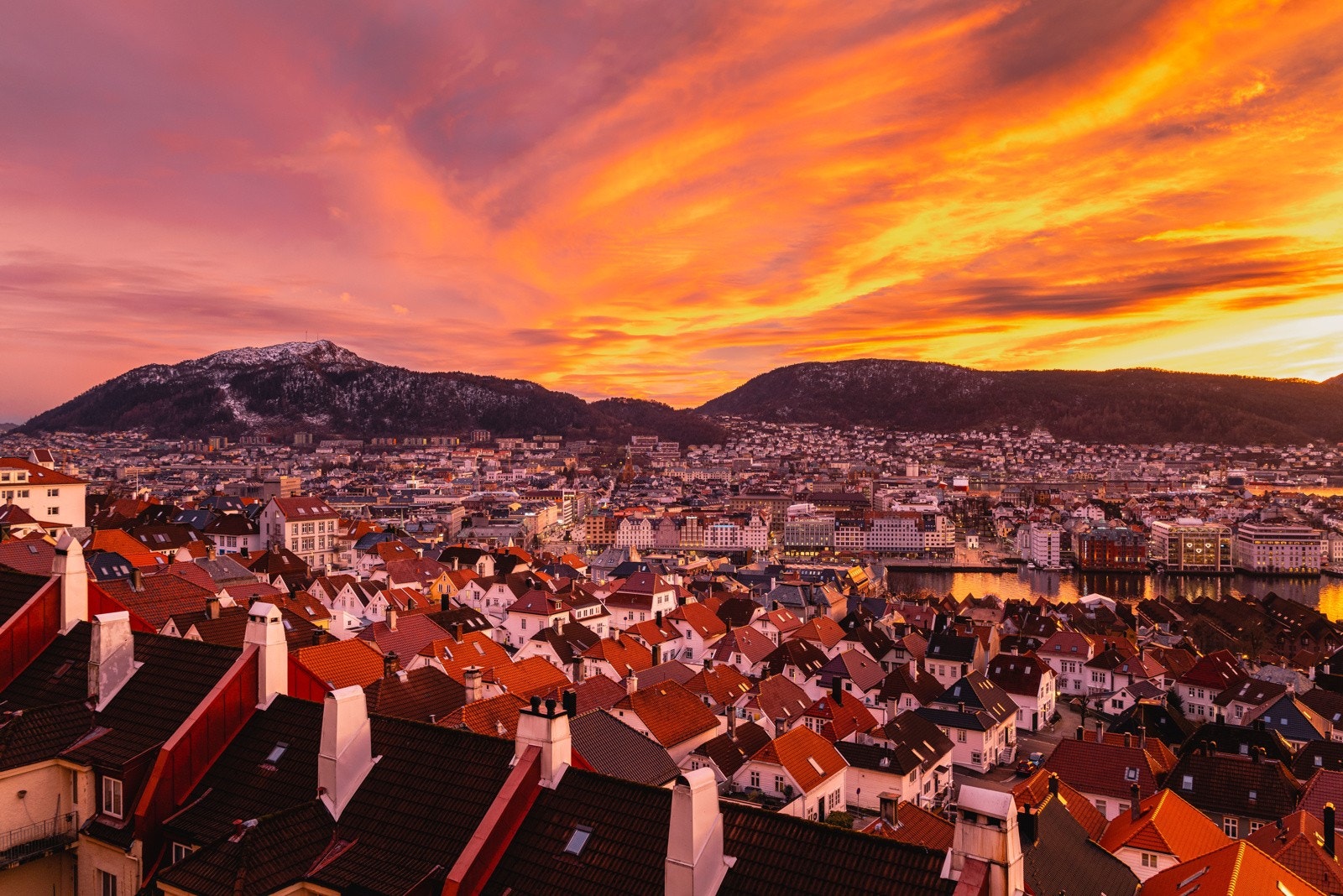 Områdebilde Galleribilde