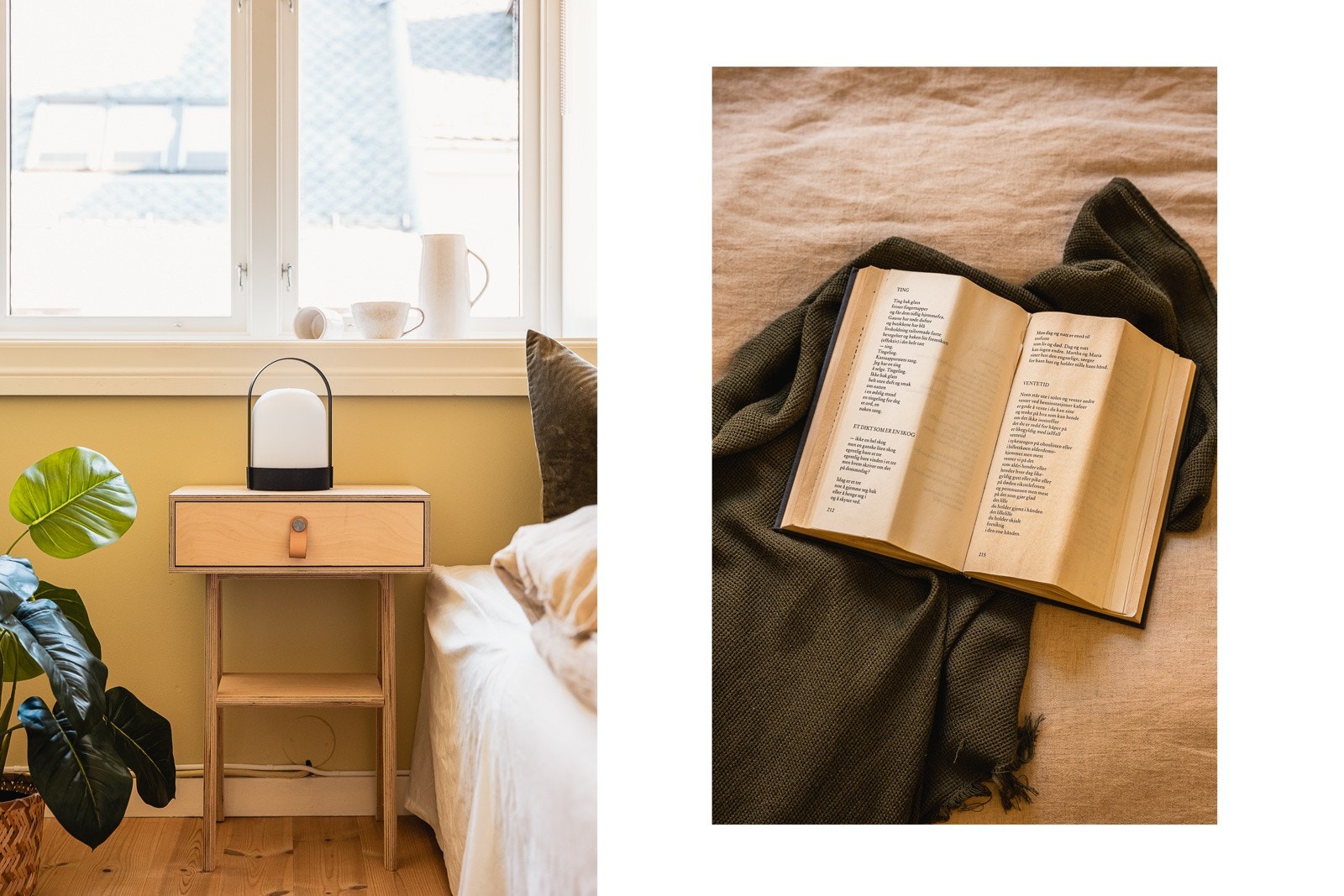 Presentert av Oliver Faraji v/ Aktiv Laguneparken Galleribilde