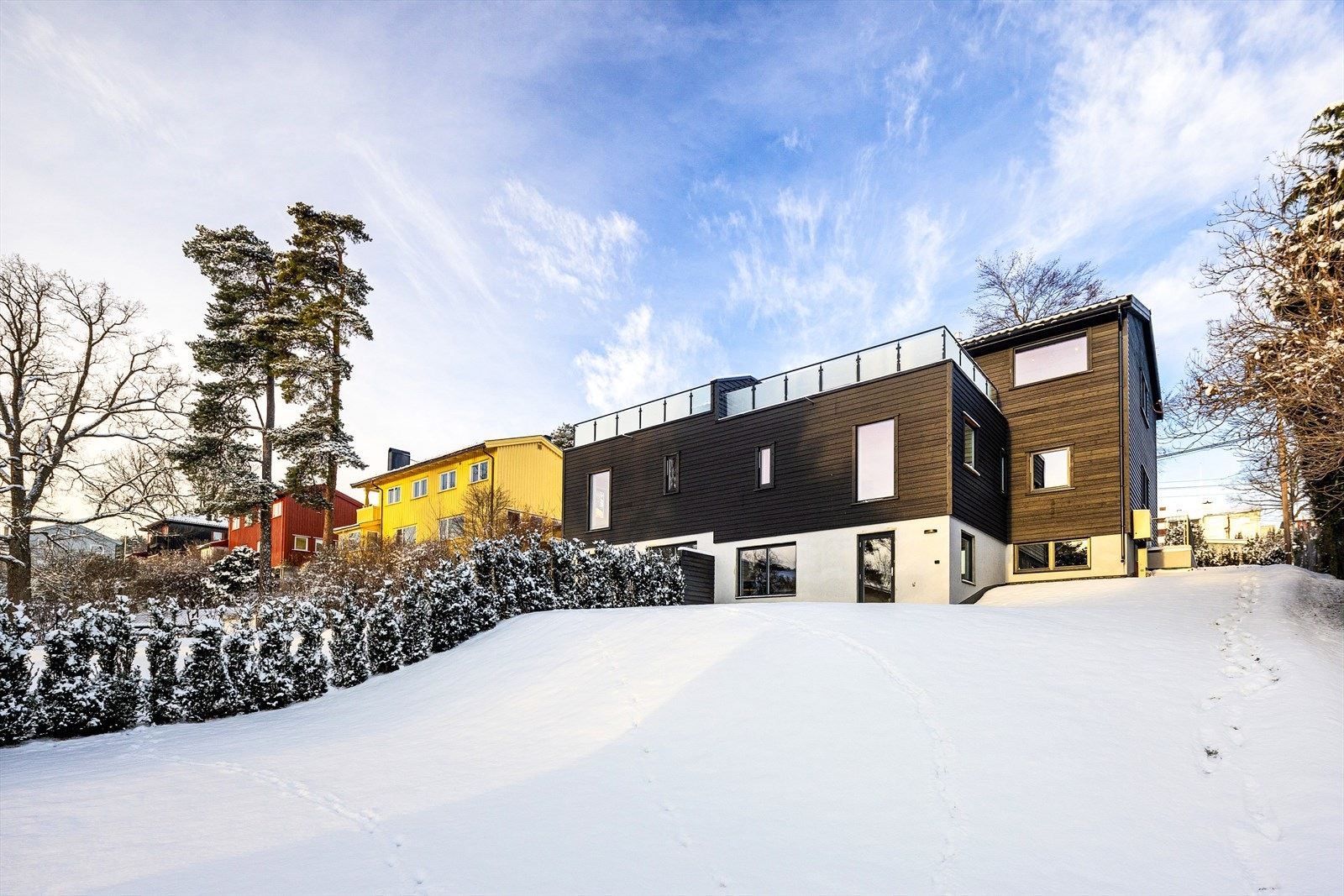 Stor privat hage opparbeidet med ferdigplen og hekk mot nabo. Galleribilde