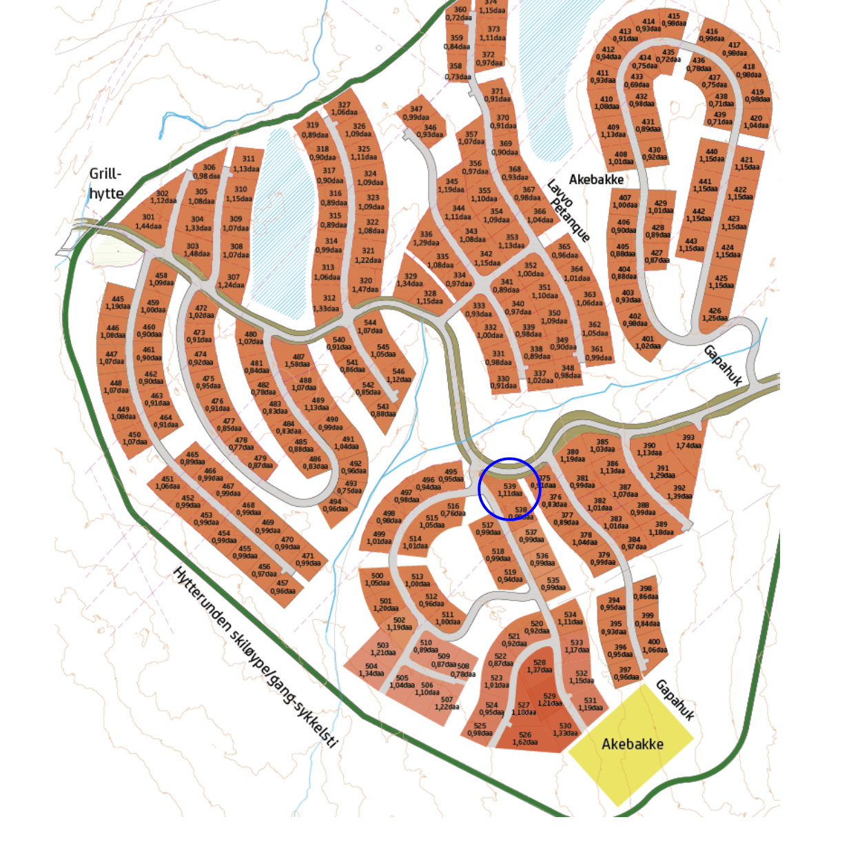 Kartet viser hyttefeltet. Tomt 539 hvor hytten skal oppføres er ringet rundt med blå sirkel Galleribilde