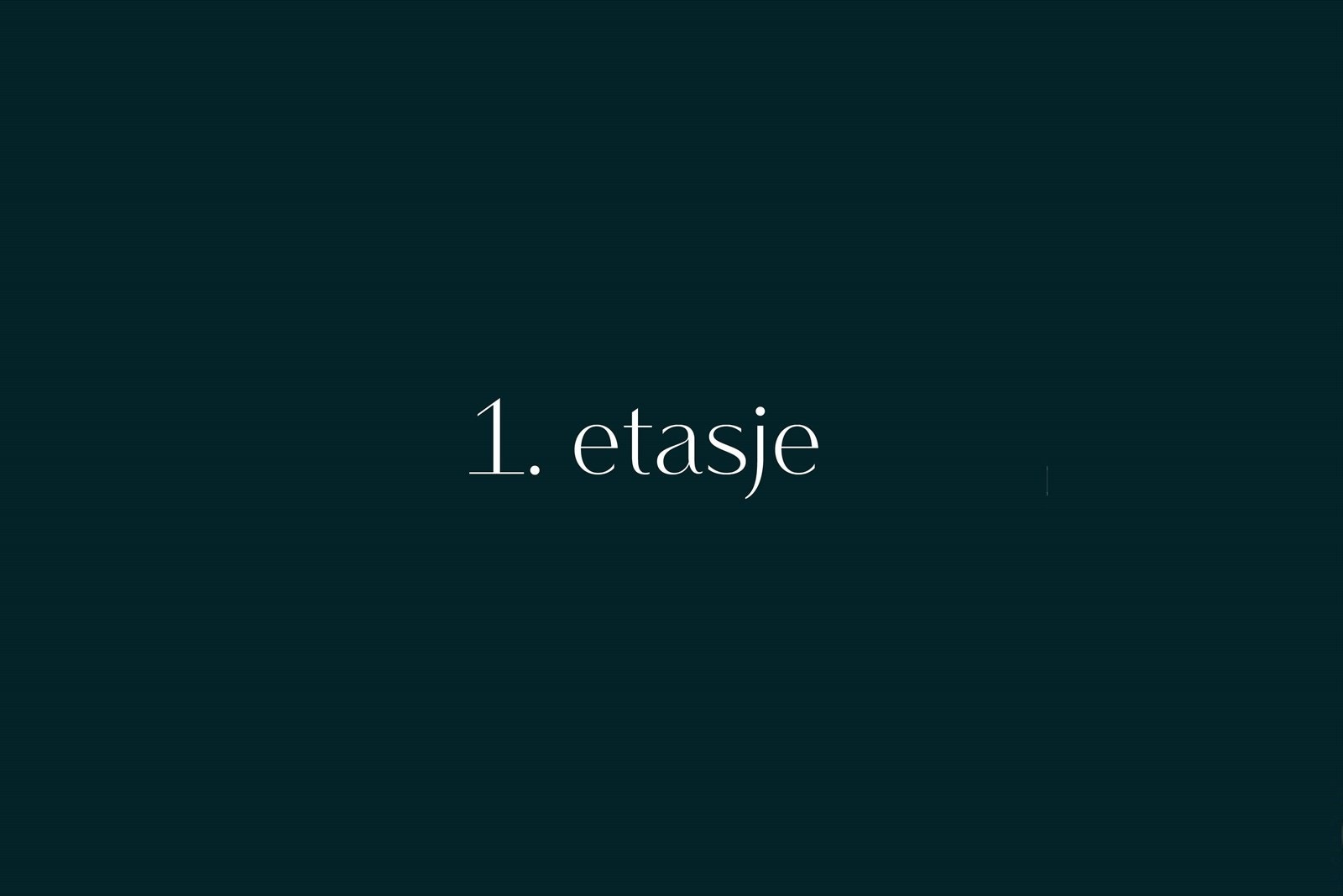 1. etasje Galleribilde