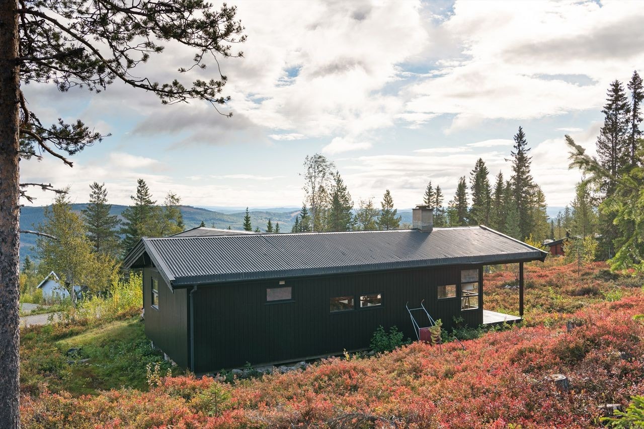 Utsikt mot sørøst Galleribilde