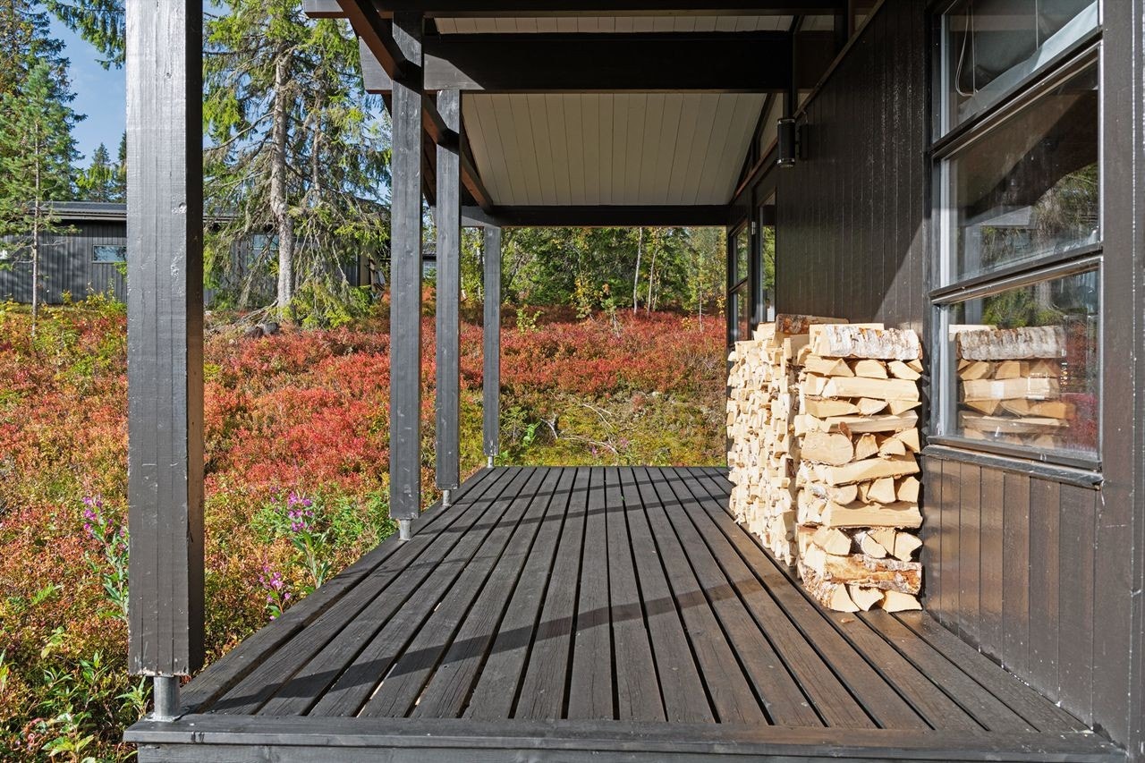 Terrasse med takoverbygg utenfor stua Galleribilde