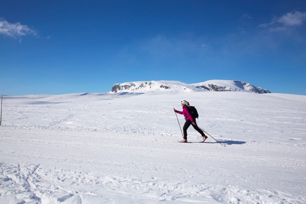 Foto: Morten Knudsen Galleribilde