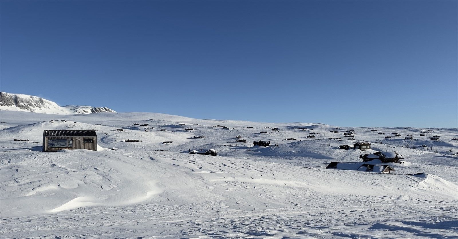 Fra sommervei mot tomt Galleribilde